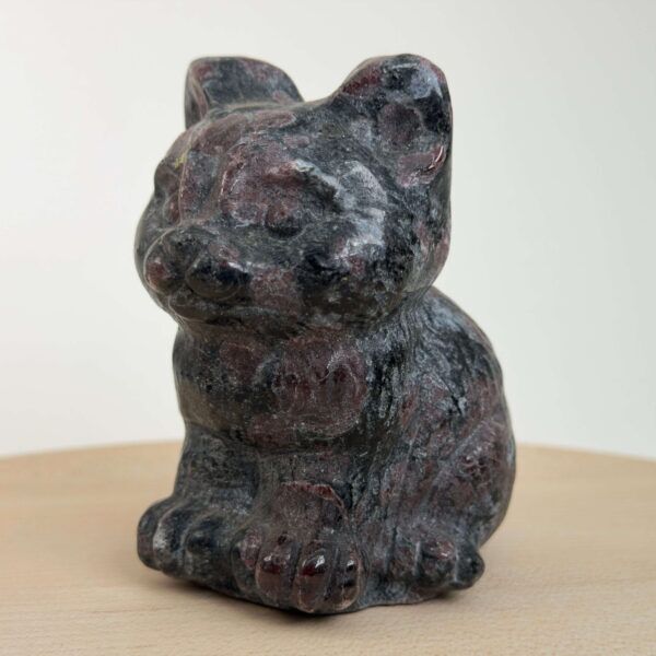 Granat kat med dybrøde nuancer, der symboliserer styrke, energi, grounding og personlig udvikling.