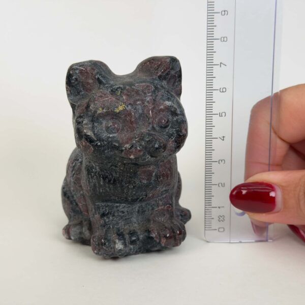 Granat kat med dybrøde nuancer, der symboliserer styrke, energi, grounding og personlig udvikling.