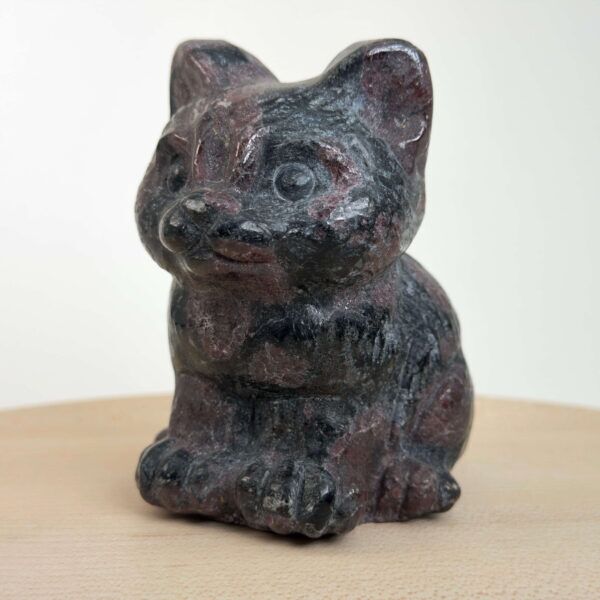 Granat kat med dybrøde nuancer, der symboliserer styrke, energi, grounding og personlig udvikling.