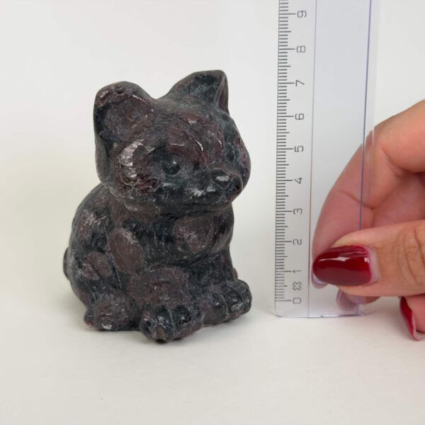 Granat kat med dybrøde nuancer, der symboliserer styrke, energi, grounding og personlig udvikling.